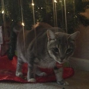 Meet your Posher, Mayra